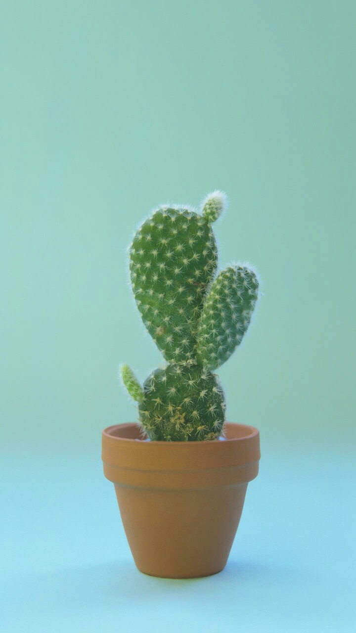 家具安装送货家具安装送货监控弱电网络未编辑专业