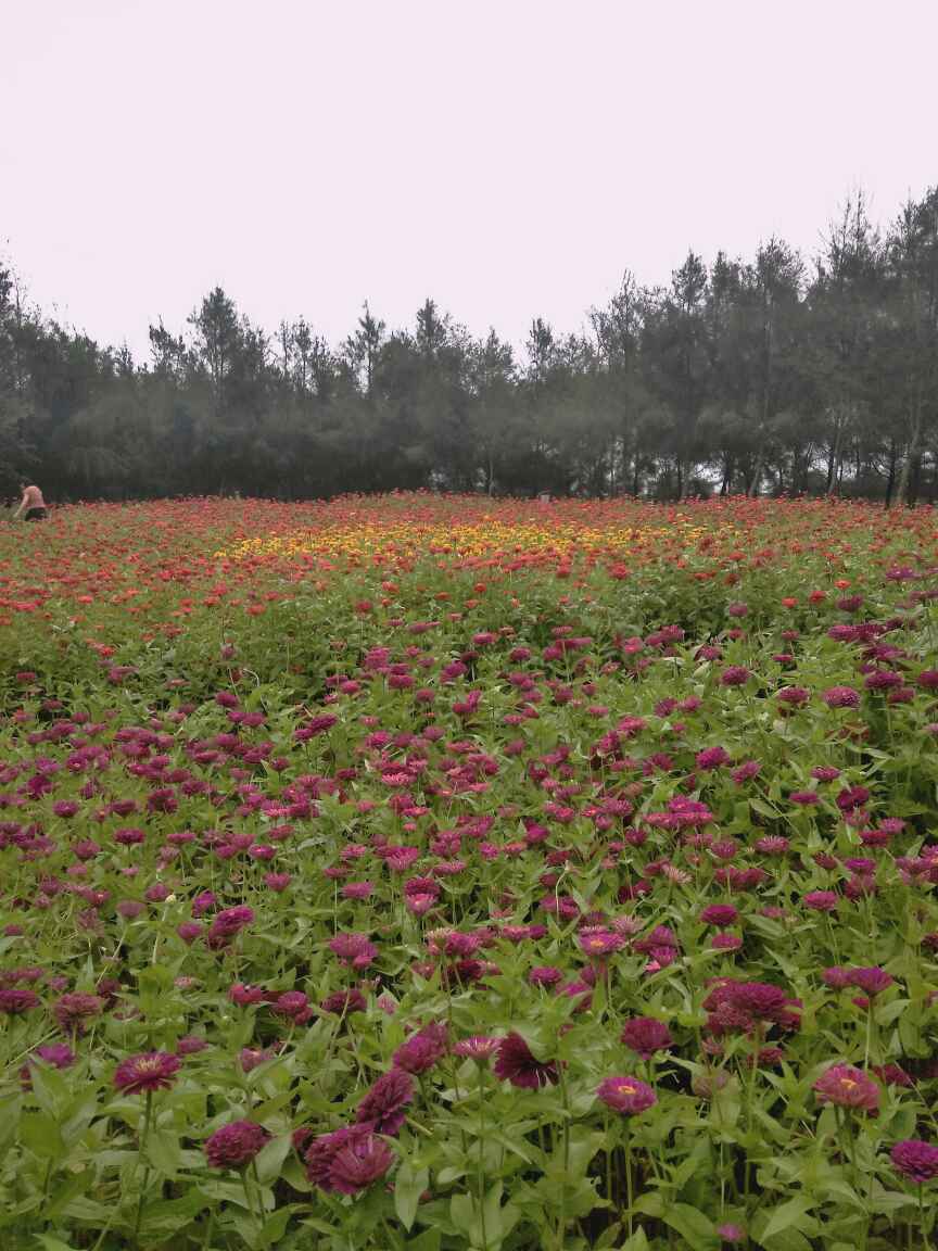 家装设计室内设计装修私人订制漳州新风格