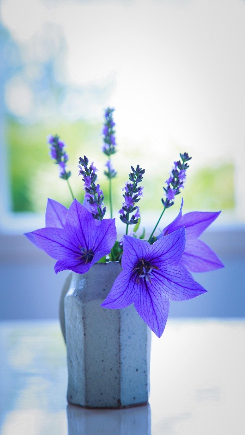 装修水电安装装修装修水电安装