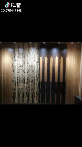 全屋定制装修竹木纤维墙饰太空铝洗衣柜高聚科技板