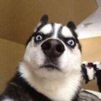 家具组装五年专业组装灯具安装未编辑专业