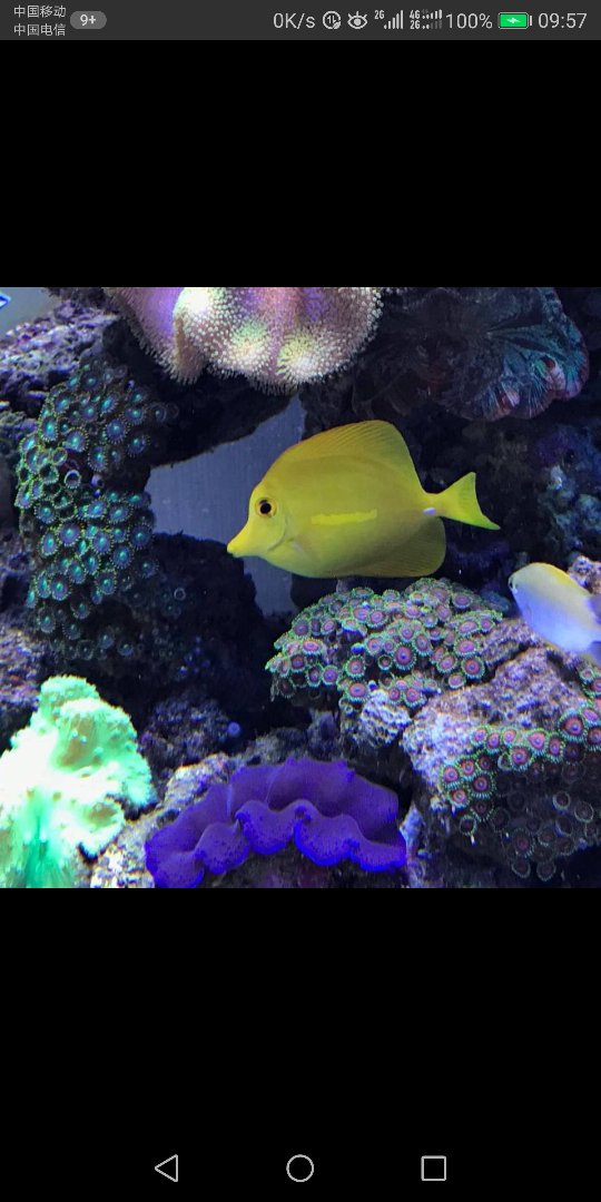 各种安装未编辑专业未编辑专业未编辑专业