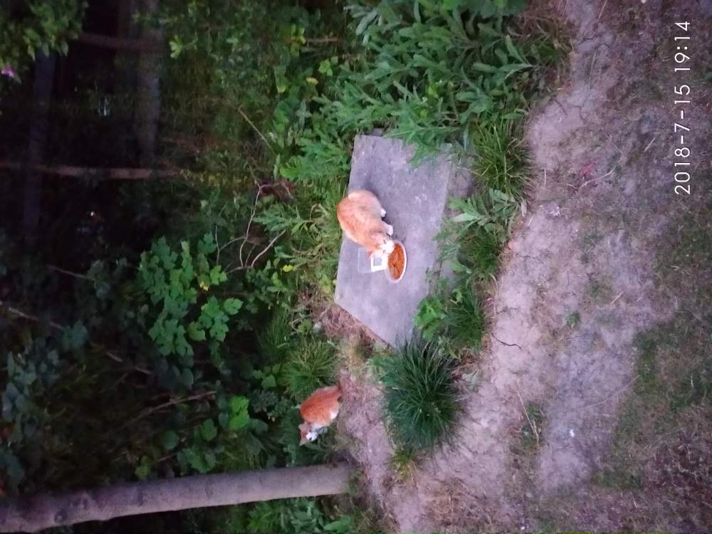 装修弱电弱电音响网络维护