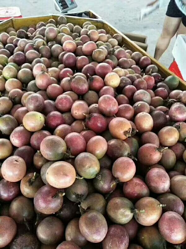 灯具安装装搬家拉货货灯具维修