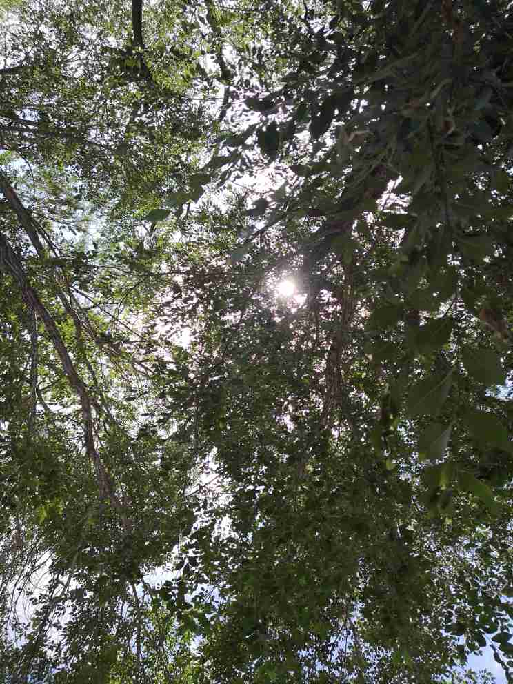 无未编辑专业未编辑专业未编辑专业