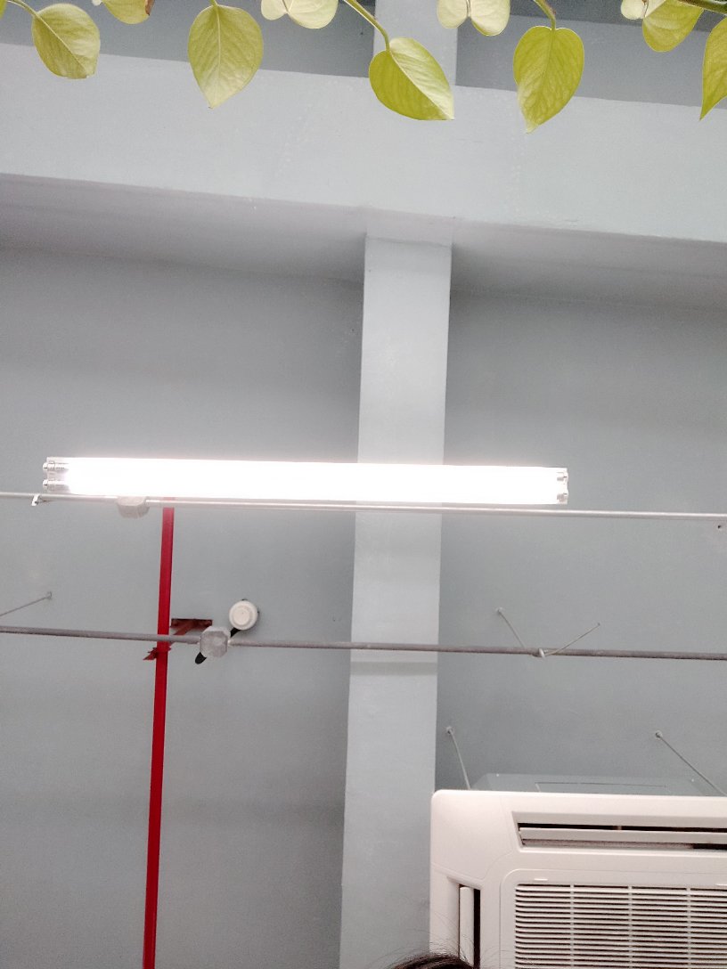 套路姑姑家未编辑专业未编辑专业未编辑专业