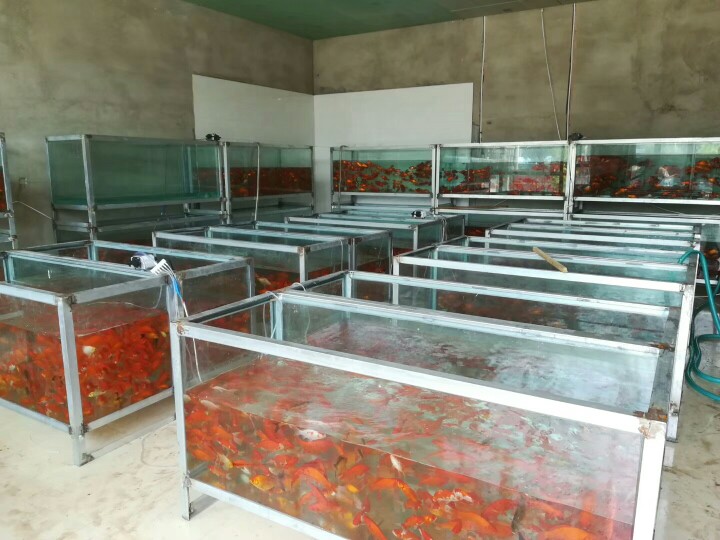 批发零售鱼缸批发零售鱼缸鱼缸加工订做鱼缸