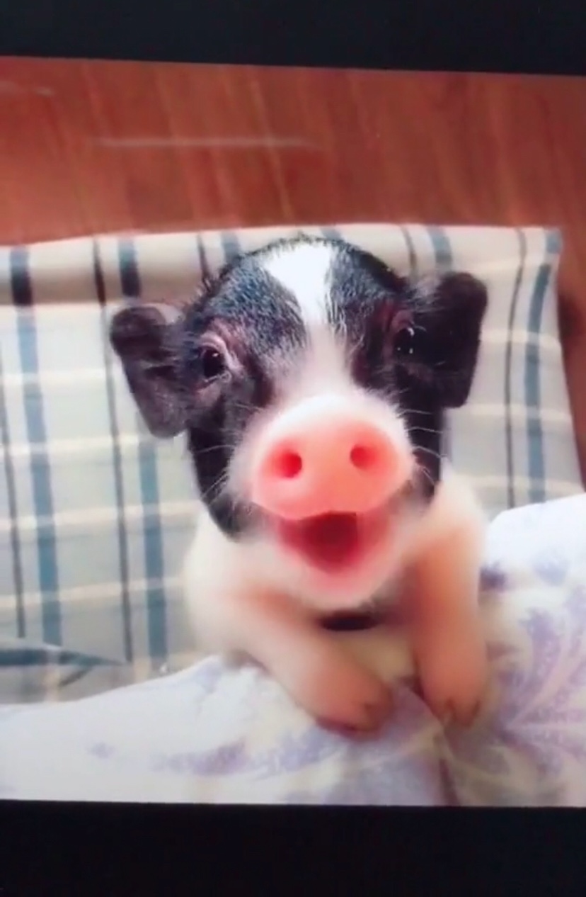 上门电脑维修家具安装未编辑专业未编辑专业