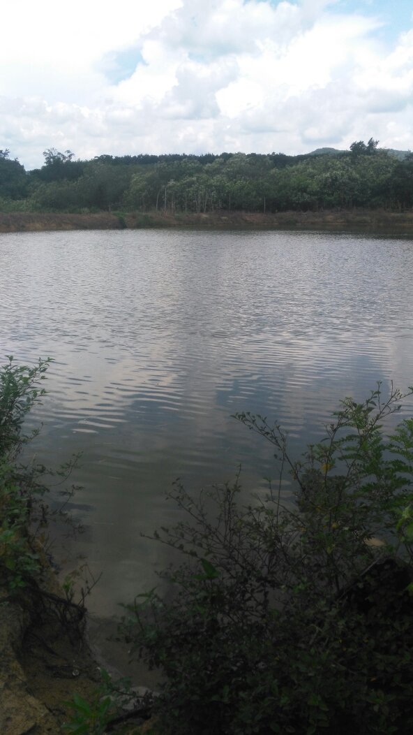 全能电工帮人家跑腿帮做工