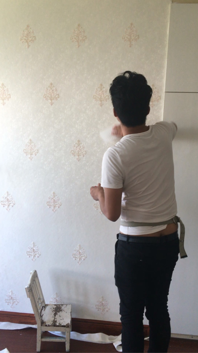 墙布墙纸装饰墙布墙纸装饰墙布墙纸装饰未编辑专业