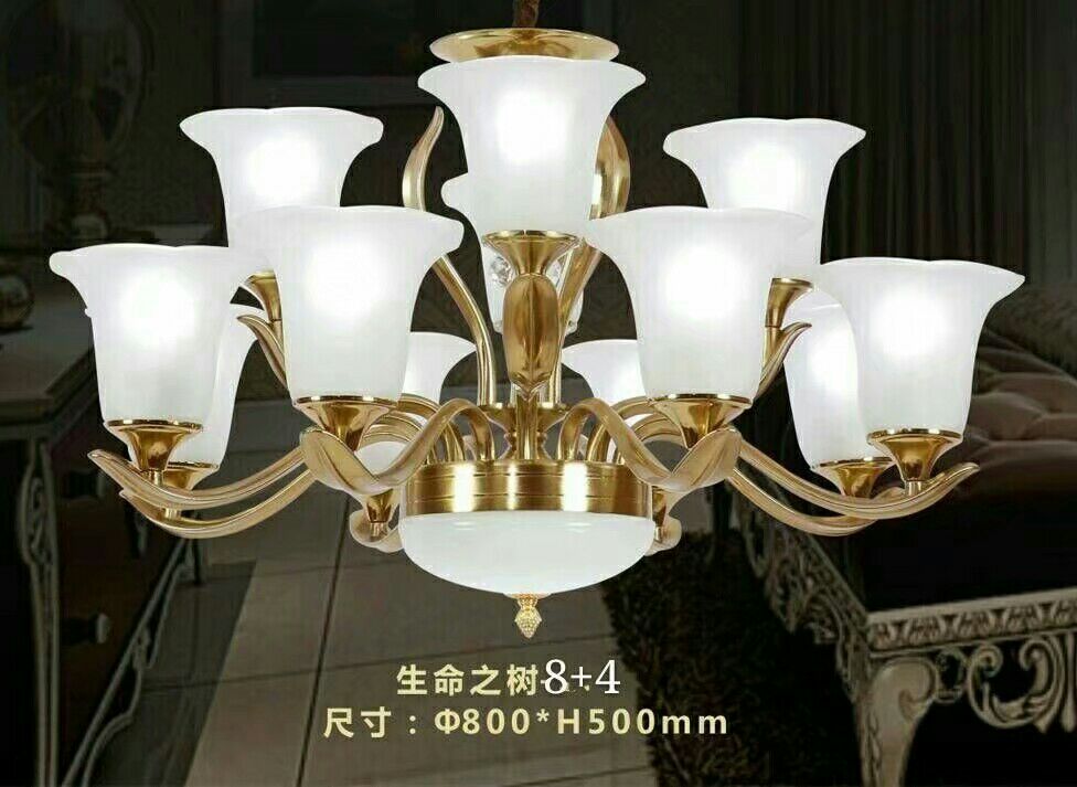 安装各类灯饰安装厨卫安装晾衣架未编辑专业