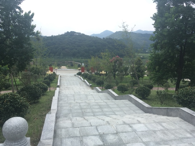 反馈客服留言投诉建议售后服务