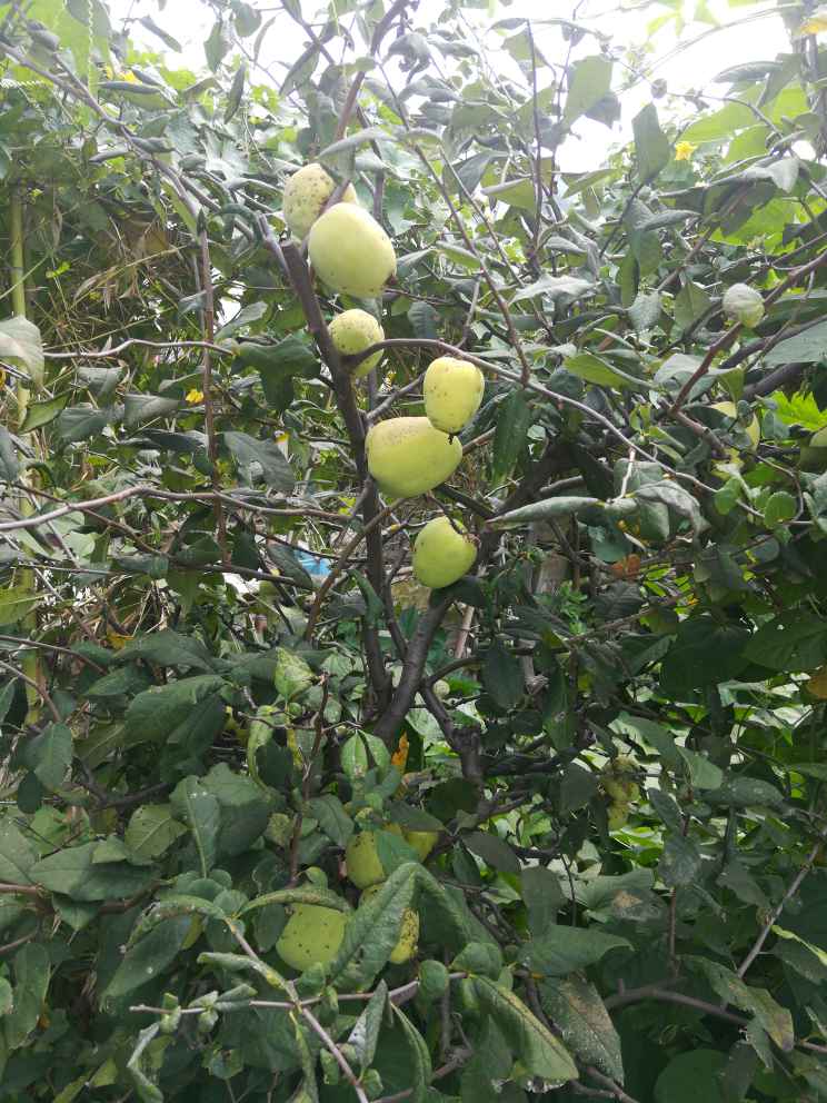 定制改环保装修材料厂家直销网店