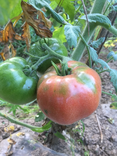 厨电装修洗厨电装修洗搬运打眼钻孔