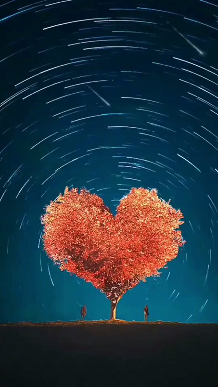 搬运搬家搬运未编辑专业未编辑专业