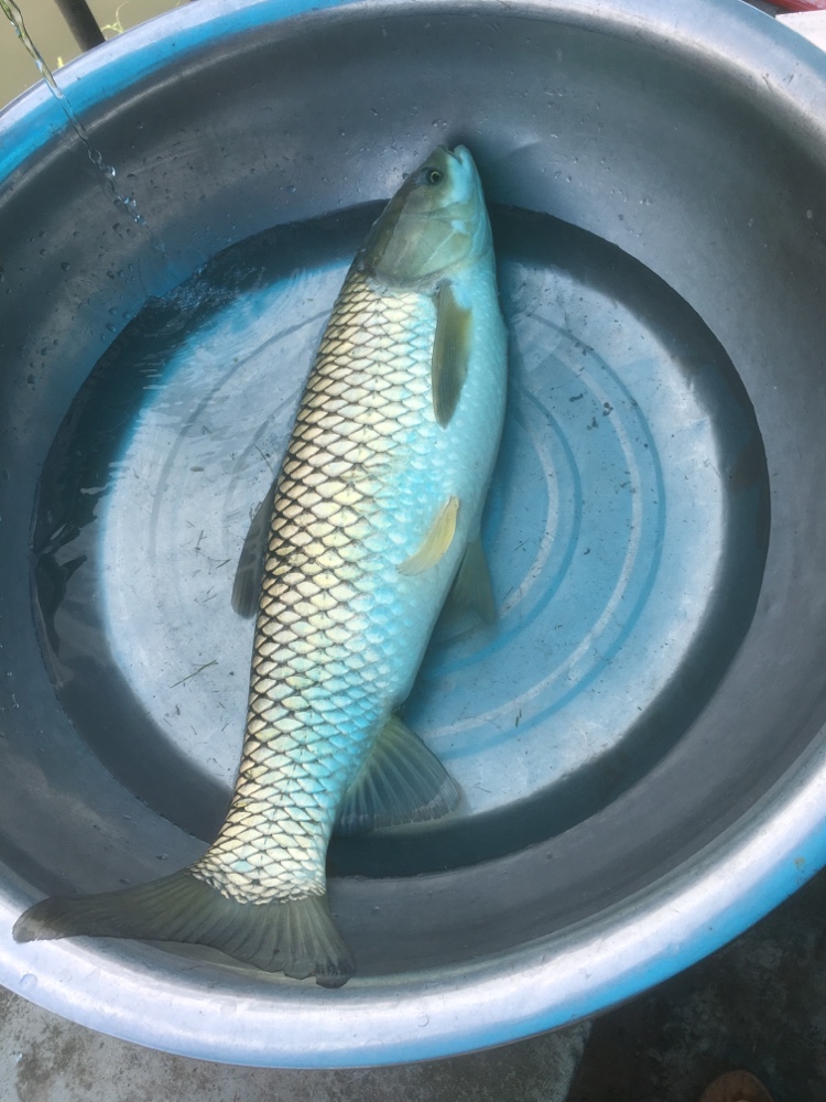 安装家具安装厨卫灯具安装水管厨卫维修