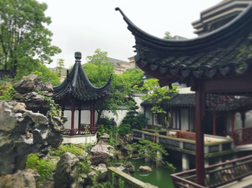 私家庭院设计室内设计摄影未编辑专业