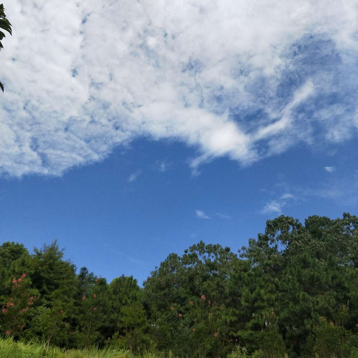 灯具洁具衣架灯具安装维修未编辑专业未编辑专业