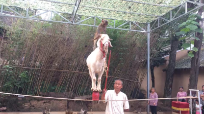 家具安装环保装修翻新家具维修培训家具维修材料