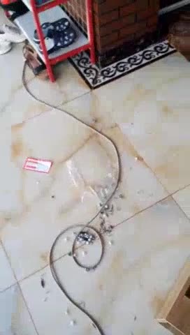 家政保洁家政保洁家具组装灯具清洗