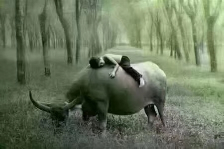 水电安装家居维修通下水道家装