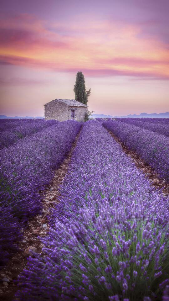 卫浴厨房电器安装厨卫电器浴室柜安装厨卫电器