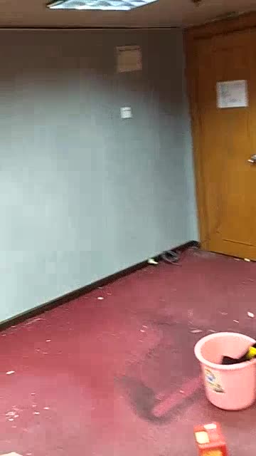 墙布墙纸施工专业贴墙纸专业贴墙纸未编辑专业