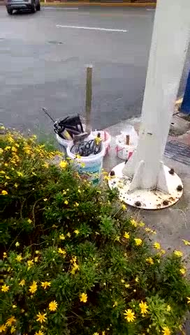 铝合金门窗铝合金门窗未编辑专业未编辑专业