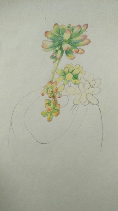 墙绘承接墙绘定制装饰画定制未编辑专业