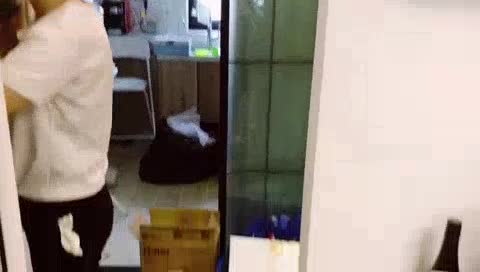 保洁开荒衣橱整理师衣橱整理未编辑专业