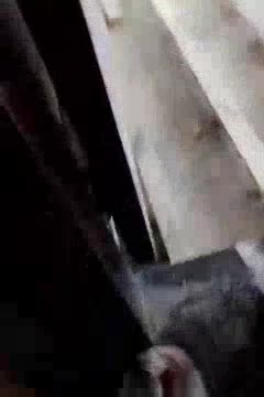 地板安装未编辑专业未编辑专业未编辑专业