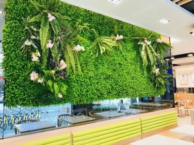 绿植花艺软装绿植园艺装饰未编辑专业未编辑专业