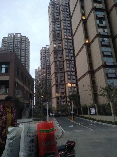 各类瓷砖美缝各类瓷砖美缝未编辑专业未编辑专业