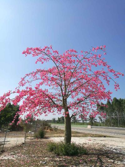 水电门窗安装未编辑专业未编辑专业未编辑专业