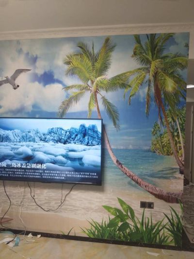 墙纸墙布施工背景墙纸壁画未编辑专业未编辑专业