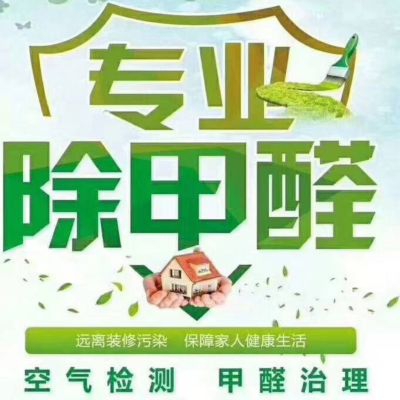 新家甲醛检测除甲醛祛异味扬子净水系统德国新风系统