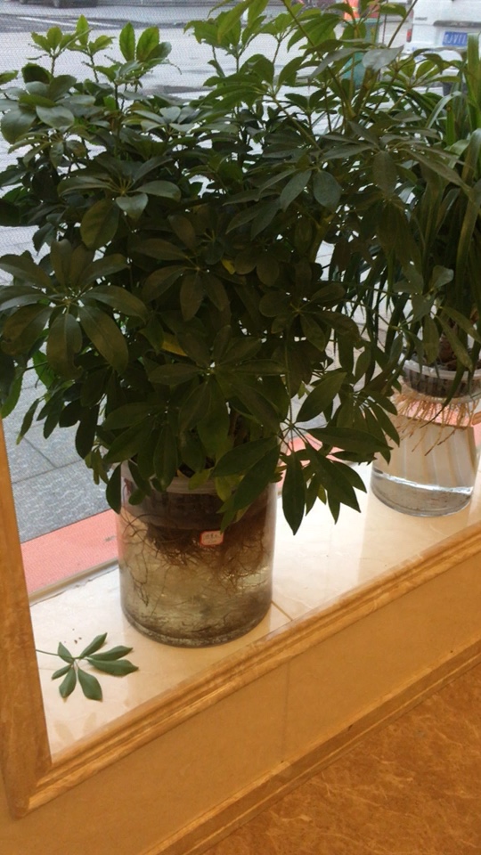 匠和饰家装修装饰未编辑专业未编辑专业