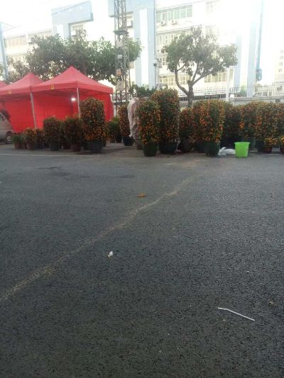 技术人员搬运工搬运工未编辑专业