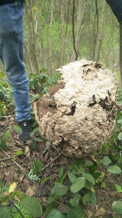 厨电家具家具厨电家具厨电家具家电