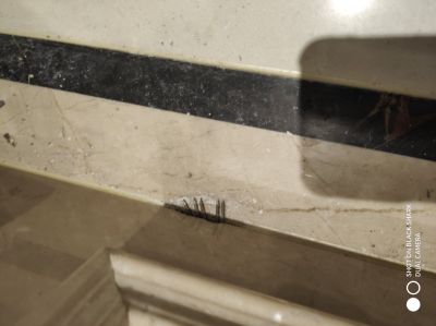 瓷砖美缝瓷砖美缝美缝美缝