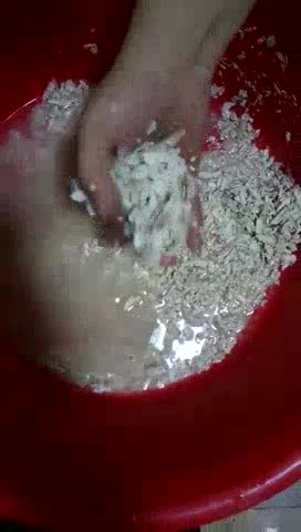 家电卫浴安装卫浴安装家电维修更换净水滤芯