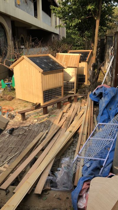 木工未编辑专业未编辑专业未编辑专业