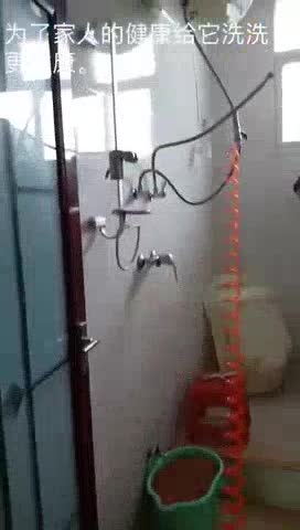 清洗水管污垢清洗家庭水管未编辑专业未编辑专业