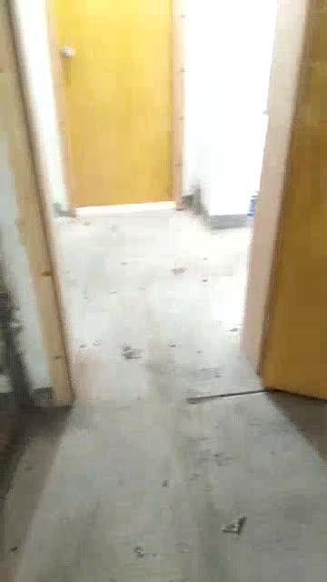 油漆木工泥水油漆精裝工裝未编辑专业未编辑专业