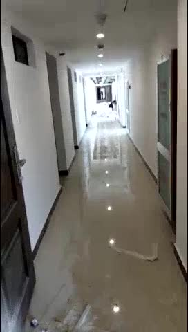 墙纸墙布美缝墙纸墙布未编辑专业未编辑专业