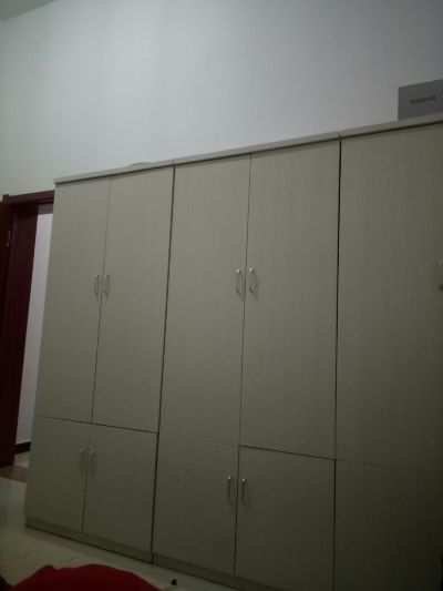 无无未编辑专业未编辑专业