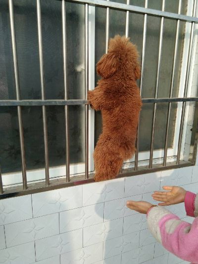 家具安装搬运木工未编辑专业未编辑专业