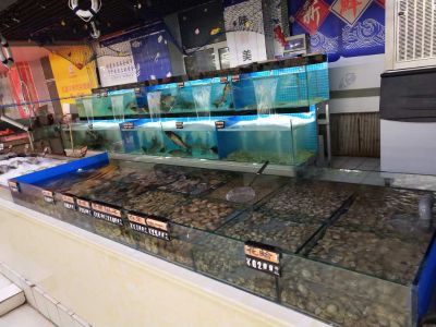 空调冰箱维修空调安装维修鱼缸制作维修未编辑专业