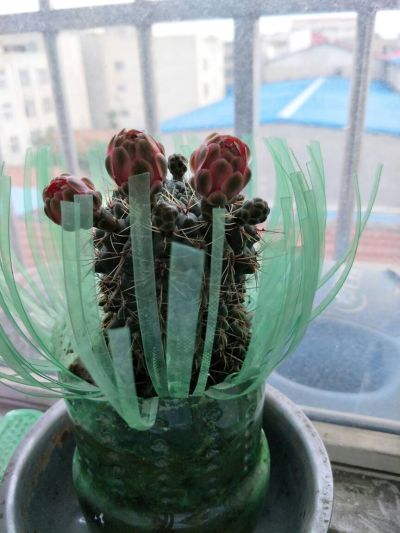 水电师傅水电维修安装未编辑专业未编辑专业