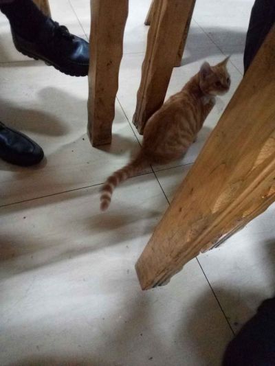 木工装饰木工维修折出木工